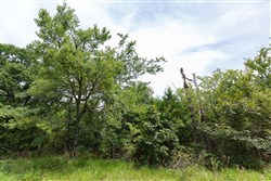 property photo for Timber Ridge Tract 33, 2.66 acres for sale in McIntosh County, Oklahoma