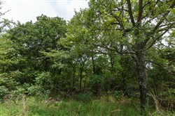 property photo for Timber Ridge Tract 33, 2.66 acres for sale in McIntosh County, Oklahoma