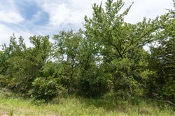 property photo for Timber Ridge Tract 34, 2.66 acres for sale in McIntosh County, Oklahoma