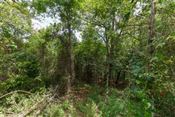 property photo for Timber Ridge Tract 34, 2.66 acres for sale in McIntosh County, Oklahoma