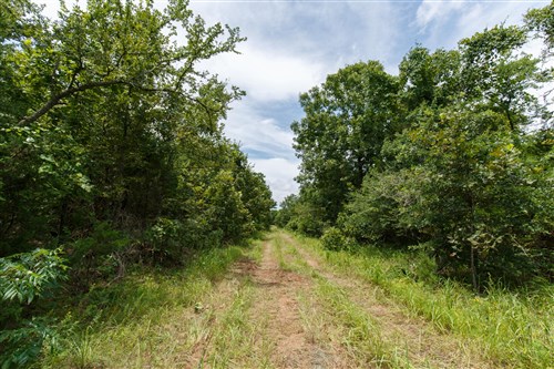 Timber Ridge Tract 35