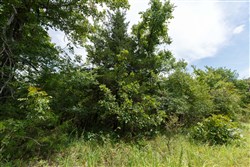 Timber Ridge Tract 35