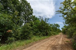 Timber Ridge Tract 35