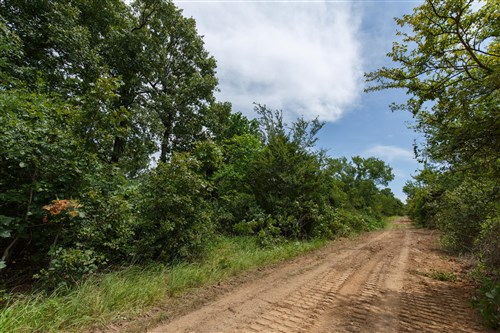 Timber Ridge Tract 35