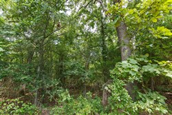 Timber Ridge Tract 35