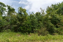 Timber Ridge Tract 35
