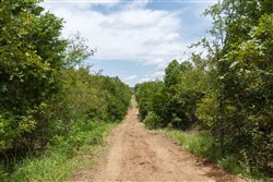 property photo for Timber Ridge Tract 36, 3.12 acres for sale in McIntosh County, Oklahoma