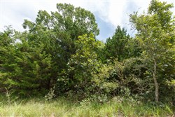 property photo for Timber Ridge Tract 36, 3.12 acres for sale in McIntosh County, Oklahoma