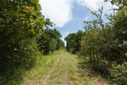 property photo for Timber Ridge Tract 36, 3.12 acres for sale in McIntosh County, Oklahoma