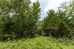 property photo for Timber Ridge Tract 36, 3.12 acres for sale in McIntosh County, Oklahoma
