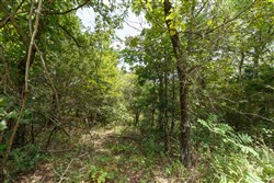 property photo for Timber Ridge Tract 36, 3.12 acres for sale in McIntosh County, Oklahoma
