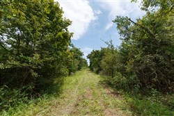 property photo for Timber Ridge Tract 37, 3.07 acres for sale in McIntosh County, Oklahoma