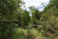 property photo for Timber Ridge Tract 37, 3.07 acres for sale in McIntosh County, Oklahoma