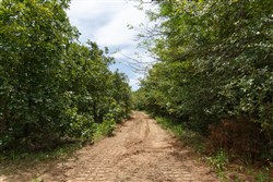 property photo for Timber Ridge Tract 37, 3.07 acres for sale in McIntosh County, Oklahoma