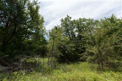 property photo for Timber Ridge Tract 37, 3.07 acres for sale in McIntosh County, Oklahoma