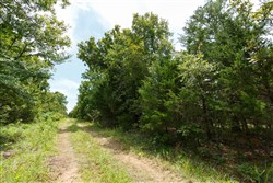 property photo for Timber Ridge Tract 37, 3.07 acres for sale in McIntosh County, Oklahoma
