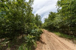 property photo for Timber Ridge Tract 37, 3.07 acres for sale in McIntosh County, Oklahoma