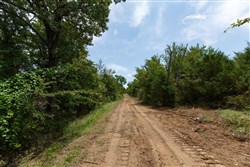Timber Ridge Tract 38