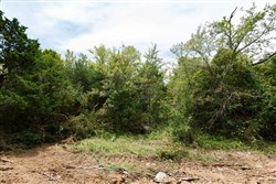 Timber Ridge Tract 38