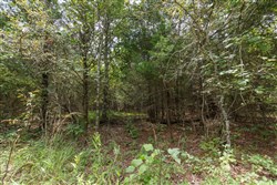 property photo for Timber Ridge Tract 39, 2.66 acres for sale in McIntosh County, Oklahoma