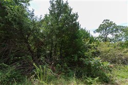 property photo for Timber Ridge Tract 39, 2.66 acres for sale in McIntosh County, Oklahoma