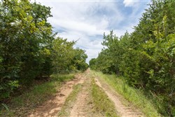 property photo for Timber Ridge Tract 39, 2.66 acres for sale in McIntosh County, Oklahoma