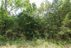 property photo for Timber Ridge Tract 39, 2.66 acres for sale in McIntosh County, Oklahoma