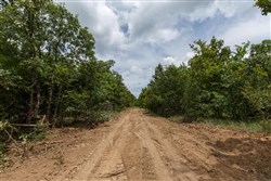 property photo for Timber Ridge Tract 4, 2.57 acres for sale in McIntosh County, Oklahoma
