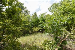 property photo for Timber Ridge Tract 4, 2.57 acres for sale in McIntosh County, Oklahoma