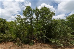 property photo for Timber Ridge Tract 4, 2.57 acres for sale in McIntosh County, Oklahoma