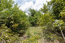 property photo for Timber Ridge Tract 4, 2.57 acres for sale in McIntosh County, Oklahoma