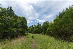 property photo for Timber Ridge Tract 40, 2.66 acres for sale in McIntosh County, Oklahoma