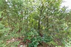 property photo for Timber Ridge Tract 40, 2.66 acres for sale in McIntosh County, Oklahoma