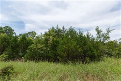 property photo for Timber Ridge Tract 40, 2.66 acres for sale in McIntosh County, Oklahoma