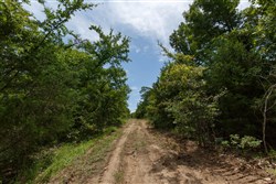 property photo for Timber Ridge Tract 41, 2.66 acres for sale in McIntosh County, Oklahoma