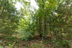 property photo for Timber Ridge Tract 41, 2.66 acres for sale in McIntosh County, Oklahoma