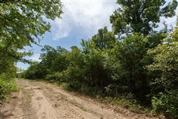 property photo for Timber Ridge Tract 41, 2.66 acres for sale in McIntosh County, Oklahoma