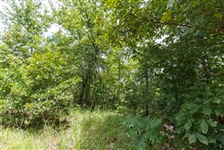 property photo for Timber Ridge Tract 41, 2.66 acres for sale in McIntosh County, Oklahoma