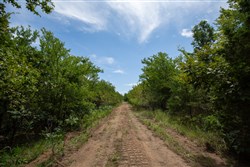 property photo for Timber Ridge Tract 42, 2.66 acres for sale in McIntosh County, Oklahoma