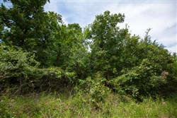 property photo for Timber Ridge Tract 42, 2.66 acres for sale in McIntosh County, Oklahoma