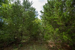 property photo for Timber Ridge Tract 42, 2.66 acres for sale in McIntosh County, Oklahoma