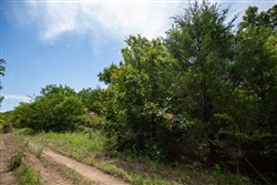 property photo for Timber Ridge Tract 42, 2.66 acres for sale in McIntosh County, Oklahoma