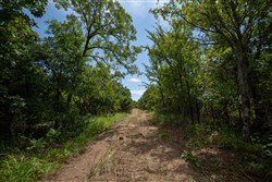 Timber Ridge Tract 43