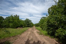 Timber Ridge Tract 43