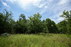 Timber Ridge Tract 43