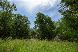 Timber Ridge Tract 43