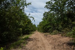 Timber Ridge Tract 44