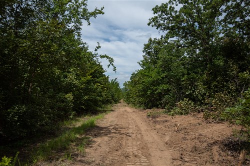 Timber Ridge Tract 44