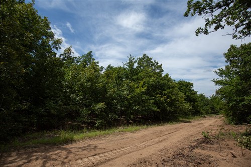 Timber Ridge Tract 44