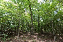 property photo for Timber Ridge Tract 45, 2.66 acres for sale in McIntosh County, Oklahoma